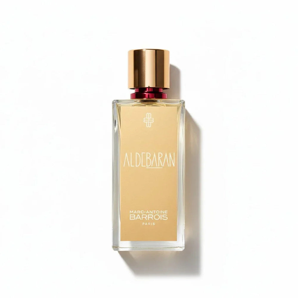 flat-lay-05490cb5-5d63-4a9e-bcd5-fb8ee5c7a035 - BLACK ELIXIR - Maison de Parfum
